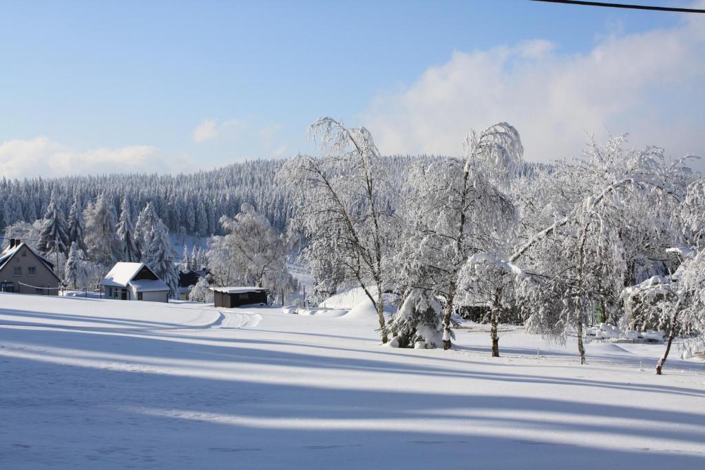Hotel Muehlleithen Klingenthal