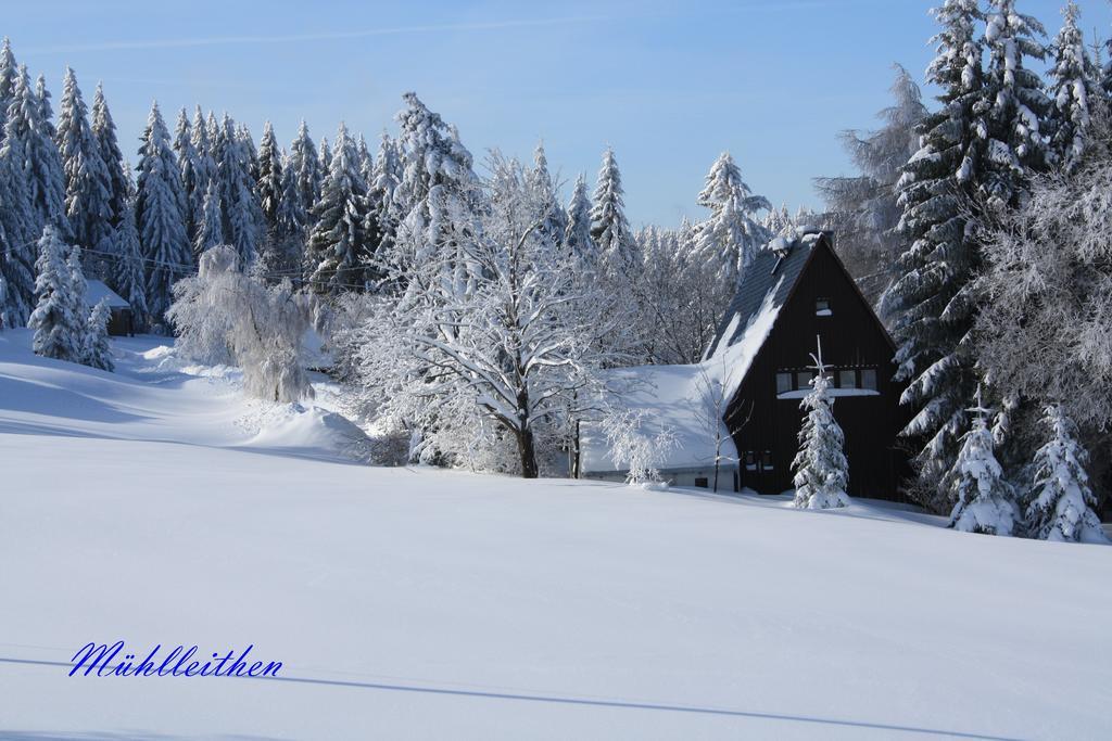 Hotel Muehlleithen Klingenthal