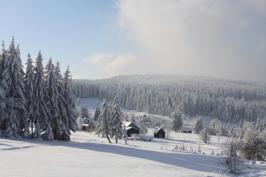 Hotel Muehlleithen 3*